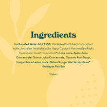 Load image into Gallery viewer, Olipop Sparkling Prebiotic Soda, Ginger Lemon, 12oz (Pack of 12)