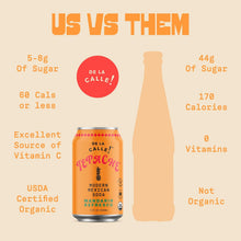 Load image into Gallery viewer, De La Calle Tepache Modern Mexican Soda, Mandarin Refresco, 12oz (Pack of 12)