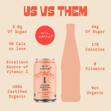 Load image into Gallery viewer, De La Calle Tepache Modern Mexican Soda, Grapefruit Lime, 12oz (Pack of 12)