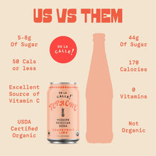 Load image into Gallery viewer, De La Calle Tepache Modern Mexican Soda, Grapefruit Lime, 12oz (Pack of 12)