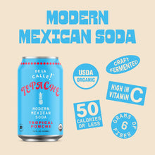 Load image into Gallery viewer, De La Calle Tepache Modern Mexican Soda, Tropical Ponche, 12oz (Pack of 12)