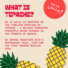 Load image into Gallery viewer, De La Calle Tepache Modern Mexican Soda, Hibiscus Citrus, 12oz (Pack of 12)