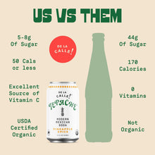 Load image into Gallery viewer, De La Calle Tepache Modern Mexican Soda, Pineapple Spice, 12oz (Pack of 12)