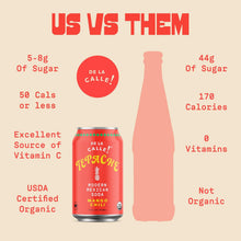 Load image into Gallery viewer, De La Calle Tepache Modern Mexican Soda, Mango Chili, 12oz (Pack of 12)