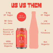 Load image into Gallery viewer, De La Calle Tepache Modern Mexican Soda, Mango Chili, 12oz (Pack of 12)