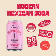 Load image into Gallery viewer, De La Calle Tepache Modern Mexican Soda, Hibiscus Citrus, 12oz (Pack of 12)