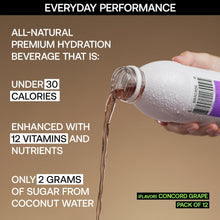 Load image into Gallery viewer, Barcode Hydration Drink, Concord Grape, 16.9oz (Pack of 12)