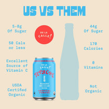 Load image into Gallery viewer, De La Calle Tepache Modern Mexican Soda, Tropical Ponche, 12oz (Pack of 12)