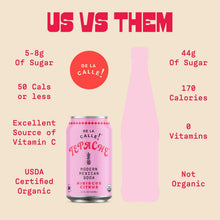 Load image into Gallery viewer, De La Calle Tepache Modern Mexican Soda, Hibiscus Citrus, 12oz (Pack of 12)