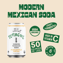 Load image into Gallery viewer, De La Calle Tepache Modern Mexican Soda, Pineapple Spice, 12oz (Pack of 12)