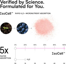 Load image into Gallery viewer, DryWater Electrolyte Powder Packets, Mixed Berry, 0.39oz (Pack of 12)