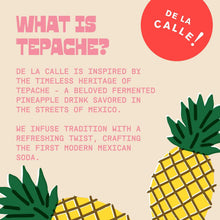 Load image into Gallery viewer, De La Calle Tepache Modern Mexican Soda, Watermelon Jalapeno, 12oz (Pack of 12)