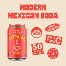 Load image into Gallery viewer, De La Calle Tepache Modern Mexican Soda, Mango Chili, 12oz (Pack of 12)