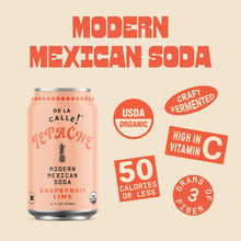 Load image into Gallery viewer, De La Calle Tepache Modern Mexican Soda, Grapefruit Lime, 12oz (Pack of 12)