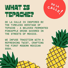 Load image into Gallery viewer, De La Calle Tepache Modern Mexican Soda, Pineapple Spice, 12oz (Pack of 12)