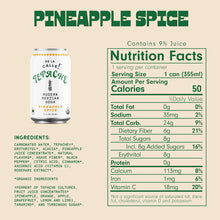 Load image into Gallery viewer, De La Calle Tepache Modern Mexican Soda, Pineapple Spice, 12oz (Pack of 12)