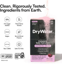 Load image into Gallery viewer, DryWater Electrolyte Powder Packets, Mixed Berry, 0.39oz (Pack of 12)