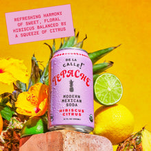 Load image into Gallery viewer, De La Calle Tepache Modern Mexican Soda, Hibiscus Citrus, 12oz (Pack of 12)