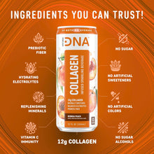 Load image into Gallery viewer, HydraDNA Collagen Infused Sparkling Drink, Peach, 12oz (Pack of 12)