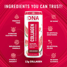 Load image into Gallery viewer, HydraDNA Collagen Infused Sparkling Drink, Watermelon, 12oz (Pack of 12)