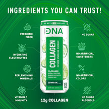 Load image into Gallery viewer, HydraDNA Collagen Infused Sparkling Drink, Cucumber Lime, 12oz (Pack of 12)