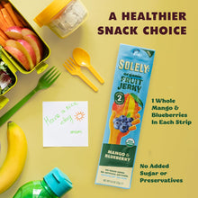 Load image into Gallery viewer, Solely Organic Fruit Jerky, Mango & Blueberry, 0.8oz (Pack of 12)