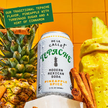 Load image into Gallery viewer, De La Calle Tepache Modern Mexican Soda, Pineapple Spice, 12oz (Pack of 12)