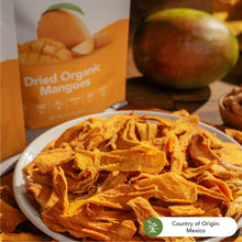 Load image into Gallery viewer, Earthside Farms, Dried Organic Mangoes, 2.8oz (Pack of 6)
