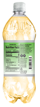 Load image into Gallery viewer, Hal's New York Ginger Ale, Zero Sugar, 1 Liter (Pack of 15)