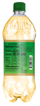 Load image into Gallery viewer, Hal's New York Ginger Ale, 1 Liter (Pack of 15)