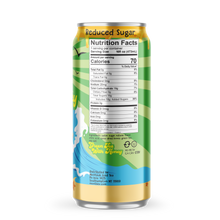 Load image into Gallery viewer, Montauk Premium Iced Tea, Green Tea with Honey, 16oz Can