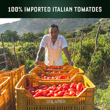 Load image into Gallery viewer, Carbone Tomato Basil Pasta Sauce, 24oz (Pack of 6)