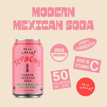 Load image into Gallery viewer, De La Calle Tepache Modern Mexican Soda, Watermelon Jalapeno, 12oz (Pack of 12)
