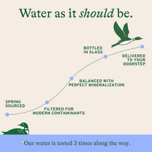 Load image into Gallery viewer, Loonen Still Spring Sourced Water, 750ml - Multi-Pack
