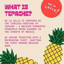 Load image into Gallery viewer, De La Calle Tepache Modern Mexican Soda, Prickly Pear Cactus, 12oz (Pack of 12)
