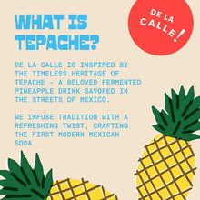 Load image into Gallery viewer, De La Calle Tepache Modern Mexican Soda, Tropical Ponche, 12oz (Pack of 12)
