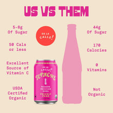 Load image into Gallery viewer, De La Calle Tepache Modern Mexican Soda, Prickly Pear Cactus, 12oz (Pack of 12)
