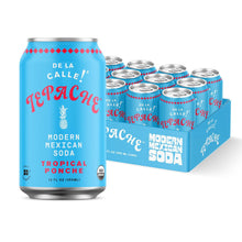 Load image into Gallery viewer, De La Calle Tepache Modern Mexican Soda, Tropical Ponche, 12oz (Pack of 12)
