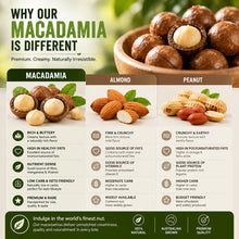 Load image into Gallery viewer, Golden Crunch Australian Macadamia Nuts, Australian Honey, 7.9oz - Multi-Pack
