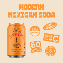 Load image into Gallery viewer, De La Calle Tepache Modern Mexican Soda, Mandarin Refresco, 12oz (Pack of 12)
