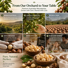 Load image into Gallery viewer, Golden Crunch Australian Macadamia Nuts, Australian Honey, 7.9oz - Multi-Pack
