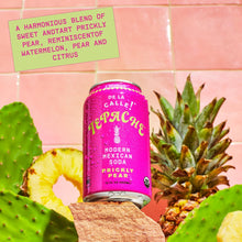 Load image into Gallery viewer, De La Calle Tepache Modern Mexican Soda, Prickly Pear Cactus, 12oz (Pack of 12)
