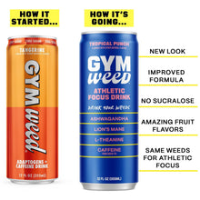 Load image into Gallery viewer, GYM WEED Athletic Focus Drink, Tropical Punch, 12oz (Pack of 12)
