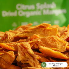 Load image into Gallery viewer, Earthside Farms, Citrus Dried Organic Mangoes, 2.8oz (Pack of 6)
