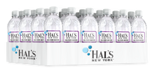 Load image into Gallery viewer, Hal's New York Seltzer Water Blackberry 20 Oz (24 Pack)
