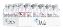 Load image into Gallery viewer, Hal's New York Seltzer Water 20oz, Fruit Punch (Pack of 24)
