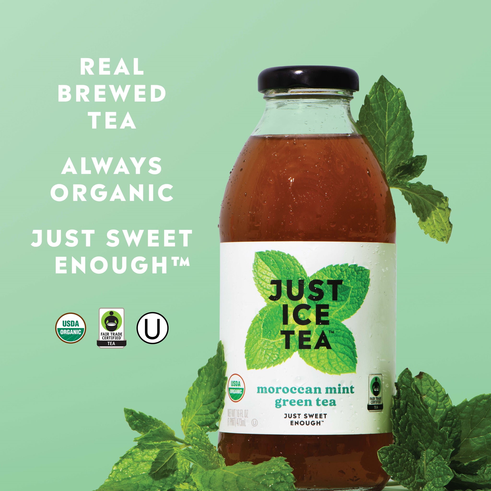 Just Ice Tea, Moroccan Mint Green Tea, 16oz (Pack of 12) – Oasis