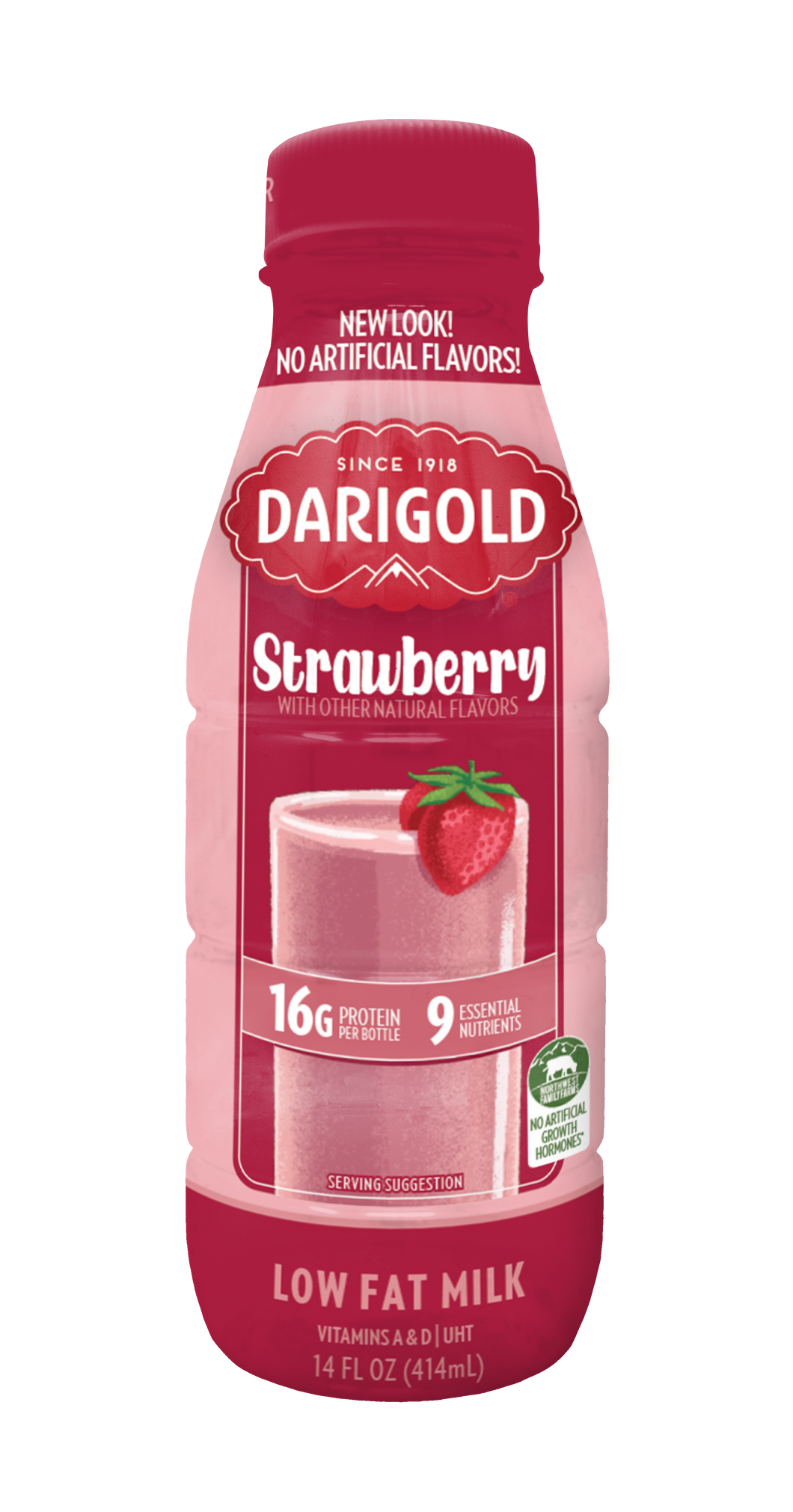 Darigold Low Fat Flavored Milk, Strawberry, 14oz (Pack of 12)