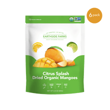 Load image into Gallery viewer, Earthside Farms, Citrus Dried Organic Mangoes, 2.8oz (Pack of 6)
