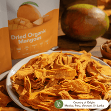 Load image into Gallery viewer, Earthside Farms, Dried Organic Mangoes Variety, 2.8oz (Pack of 4)
